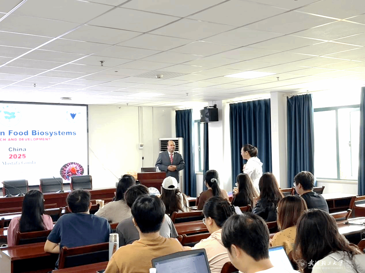 亚洲片中文字幕在线看