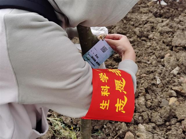 亚洲片中文字幕在线看