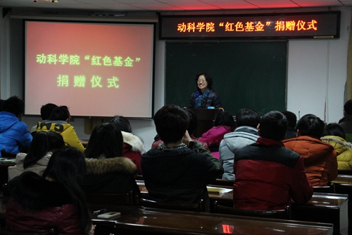 亚洲片中文字幕在线看