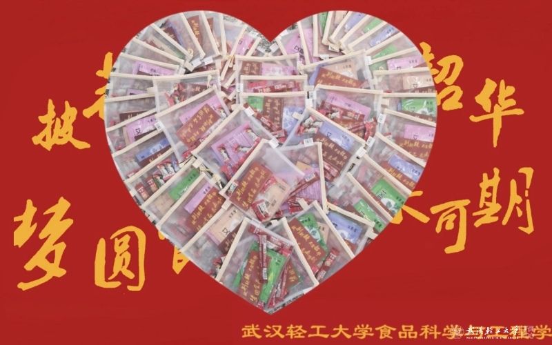 亚洲片中文字幕在线看
