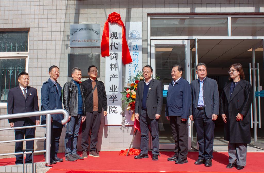 亚洲片中文字幕在线看