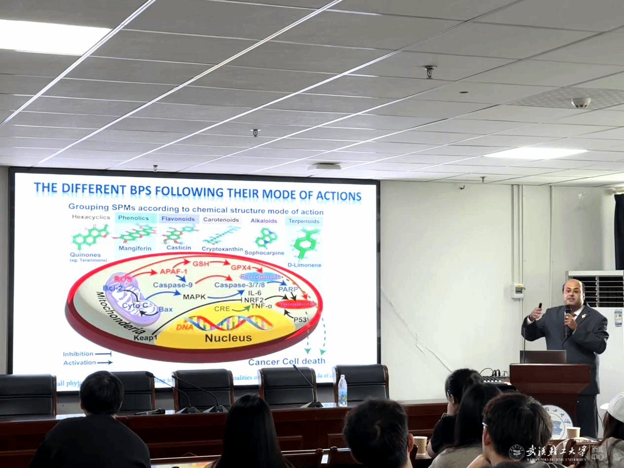 亚洲片中文字幕在线看