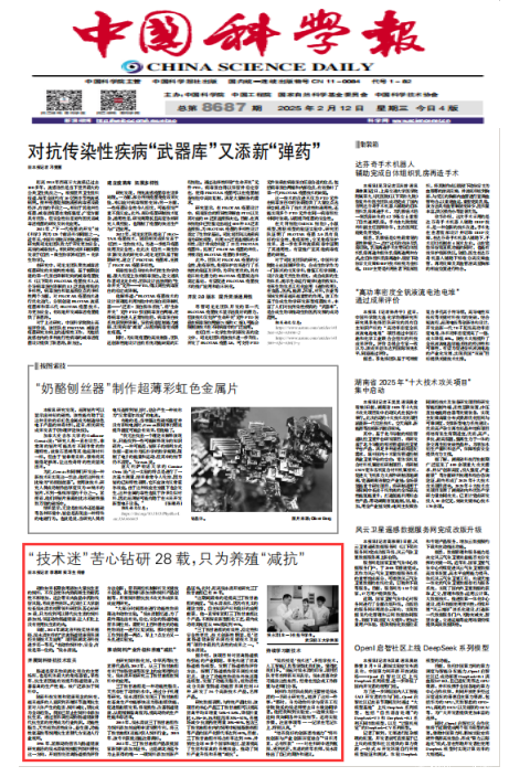 亚洲片中文字幕在线看