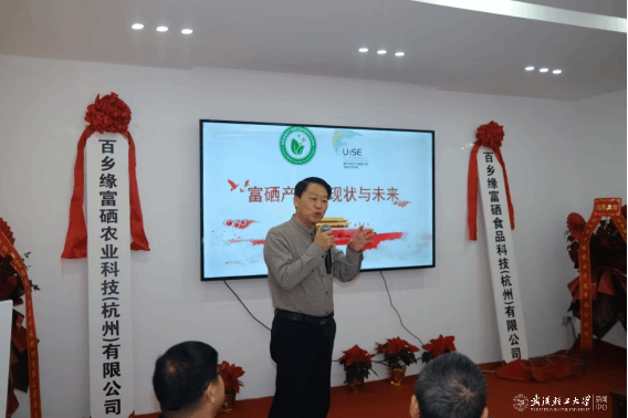 亚洲片中文字幕在线看