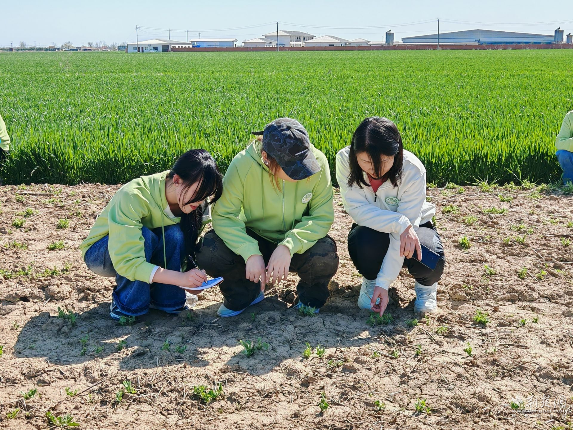 亚洲片中文字幕在线看
