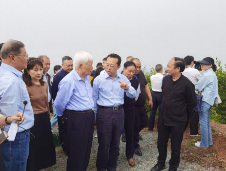亚洲片中文字幕在线看