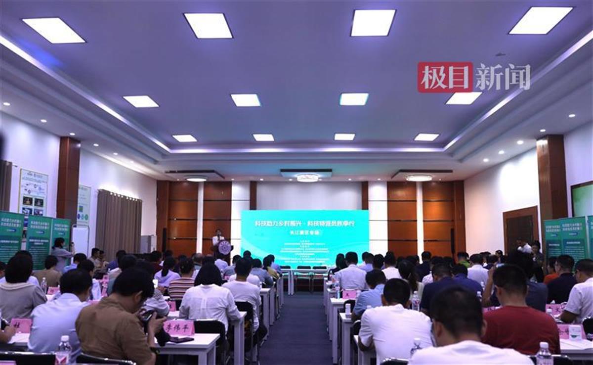 亚洲片中文字幕在线看