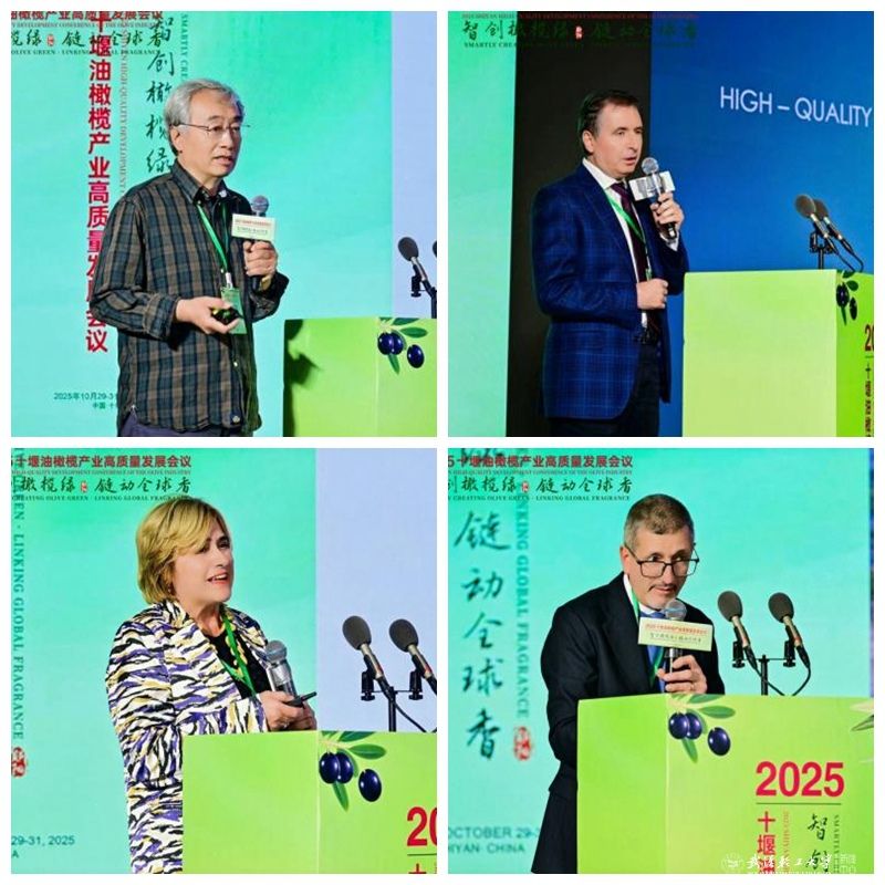 亚洲片中文字幕在线看