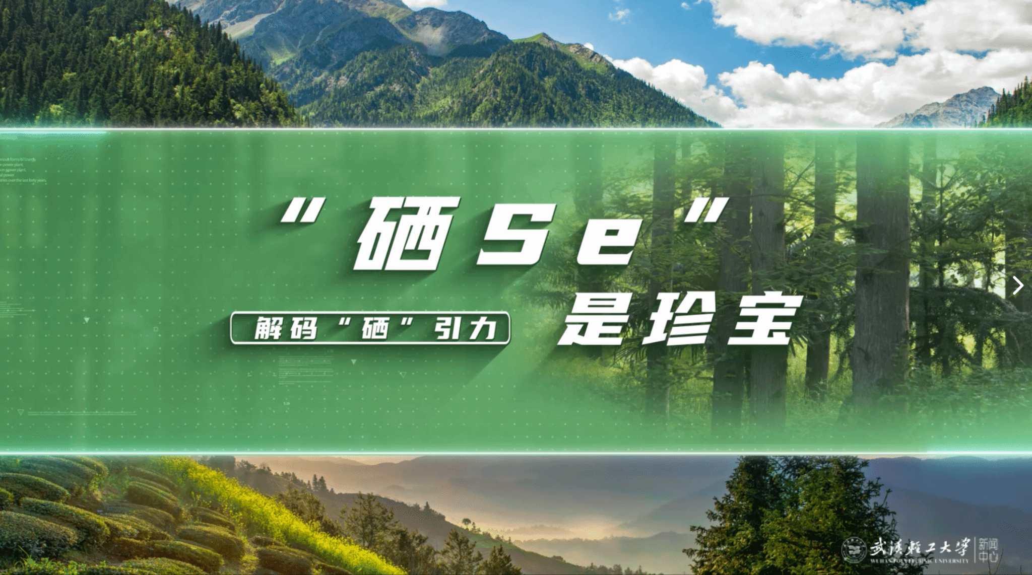 亚洲片中文字幕在线看