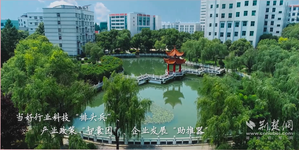 亚洲片中文字幕在线看