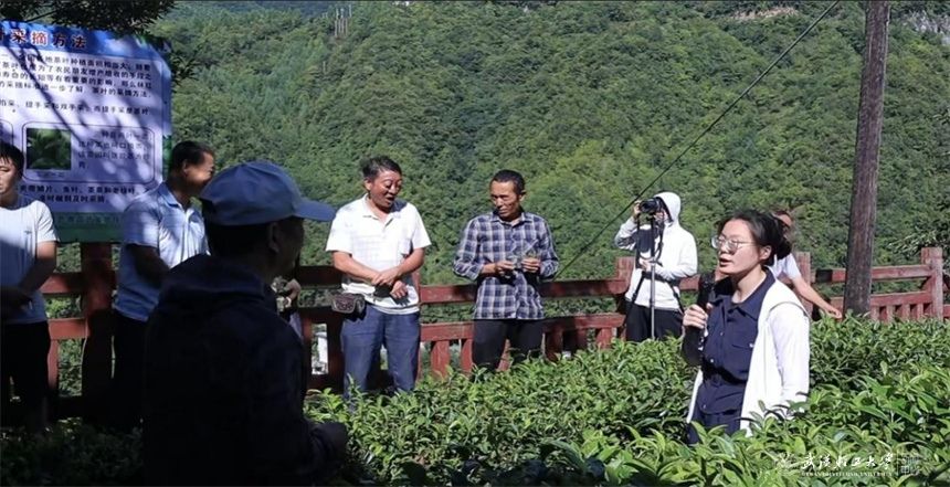 亚洲片中文字幕在线看