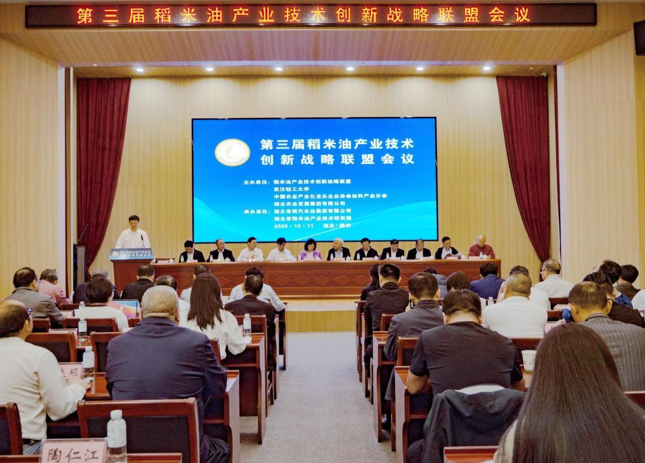 会议现场图 鲁雨杉 摄.png 会议现场图 鲁雨杉 摄.png