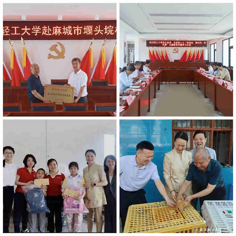 亚洲片中文字幕在线看