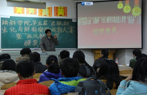 亚洲片中文字幕在线看