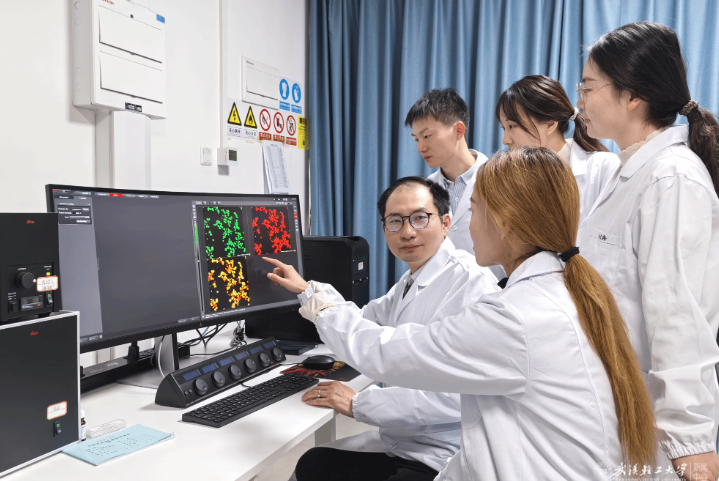 亚洲片中文字幕在线看