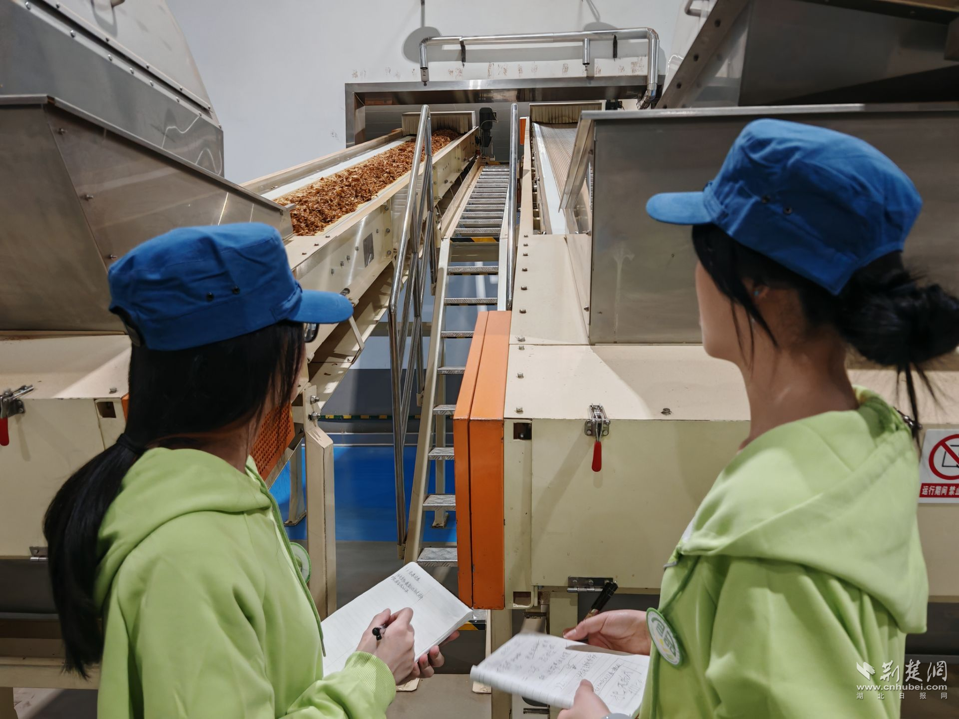 亚洲片中文字幕在线看