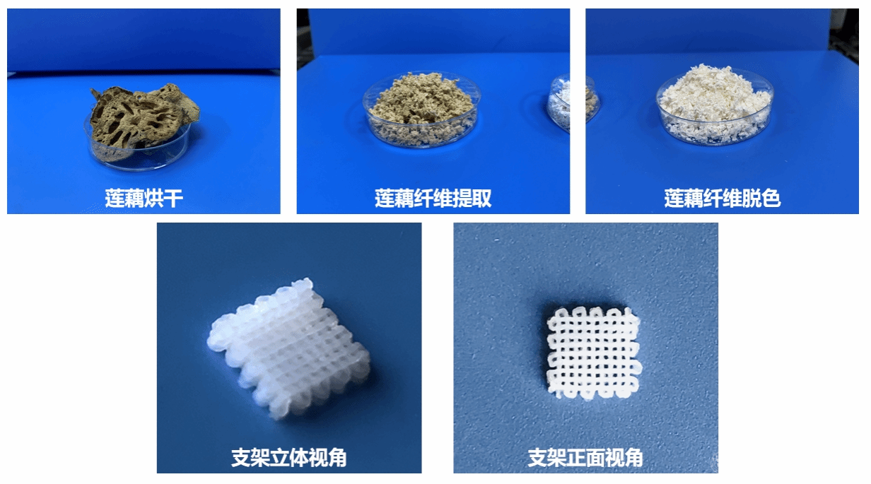 亚洲片中文字幕在线看